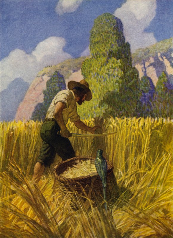 Illusztráció Robinson Crusoe-hoz (színes litó) alkotó: Newell Convers (after) Wyeth