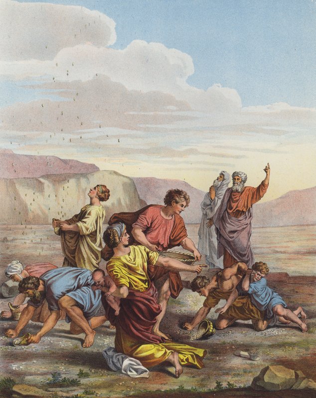 A héberek mannát gyűjtenek a mennyből a sivatagban alkotó: Nicolas Poussin