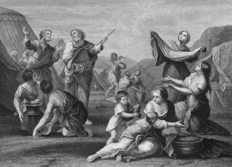 A manna hullása, 2Mózes, 16. fejezet, 14. és 24. versek (metszet) alkotó: Nicolas (after) Poussin