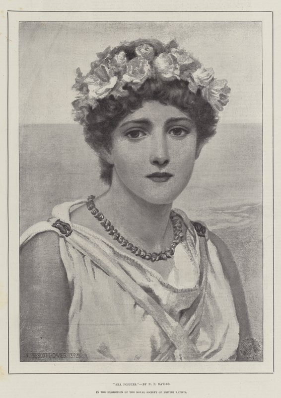 Tengeri pipacsok alkotó: Norman Prescott Davies