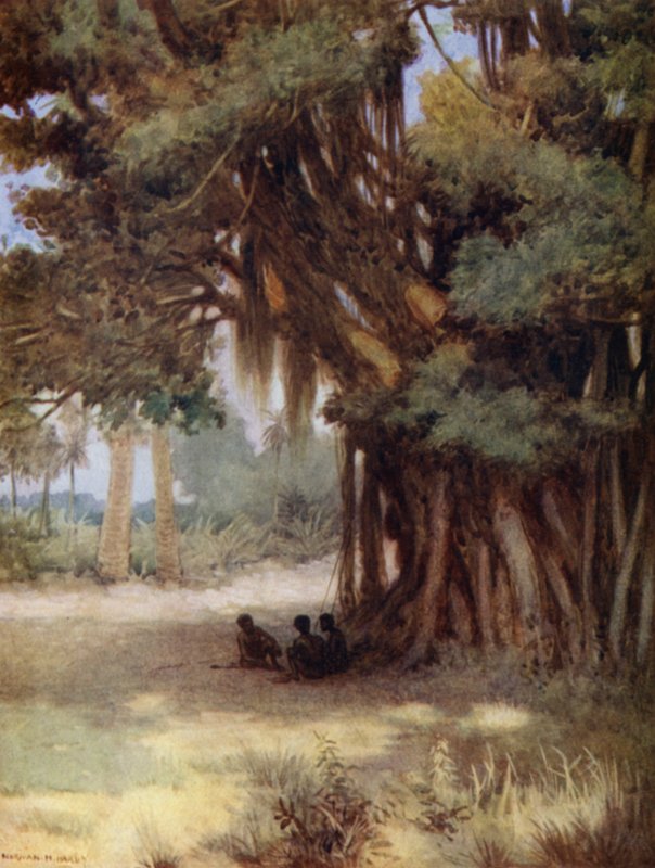 A Banyan Tree alatt, Malekula-sziget, Új-Hebridák (színes tagok) alkotó: Norman Hardy