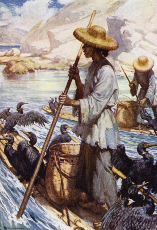 Kína: Horgászat kormoránokkal (színes litho) alkotó: Norman Hardy