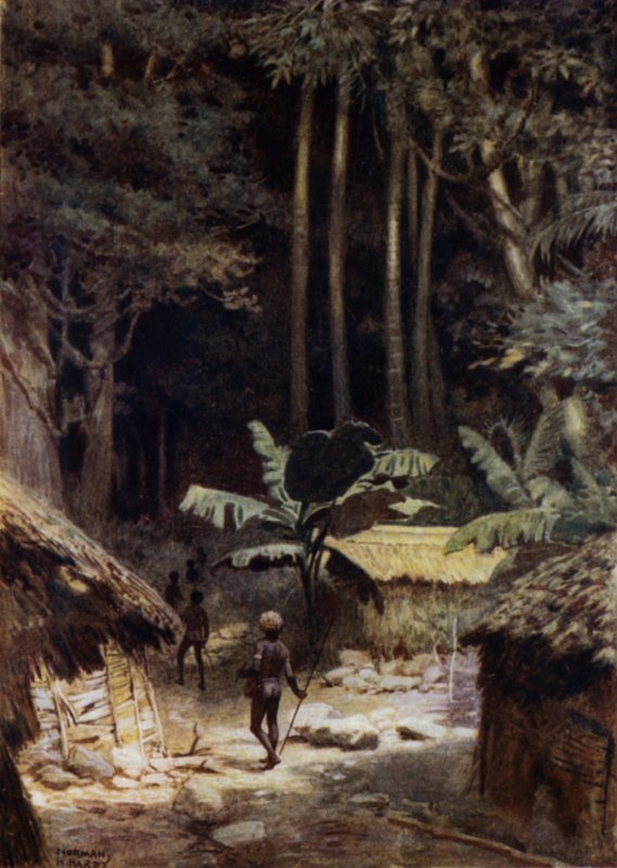 Egy őserdő peremén, Salamon-szigeteken (színes litho) alkotó: Norman Hardy