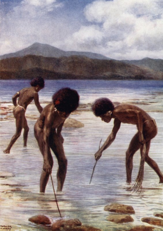 Kis polipok keresése a zátonyon apálykor, Samari, Brit Új-Guinea (színes litho) alkotó: Norman Hardy