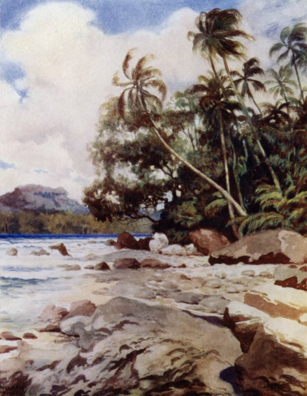 A zátony Simbo közelében, Salamon-szigeteken (színes litho) alkotó: Norman Hardy