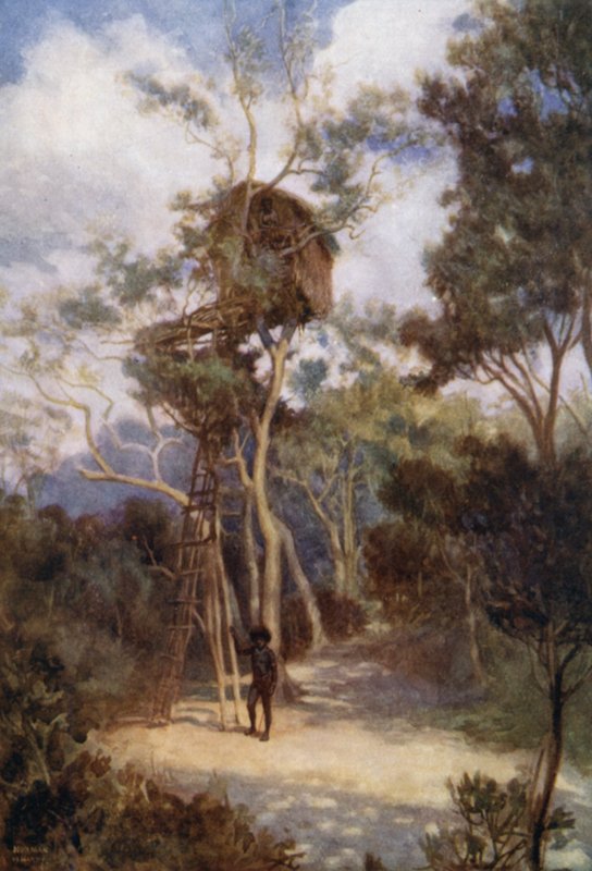 Faház Brit Új-Guineában (színes litho) alkotó: Norman Hardy