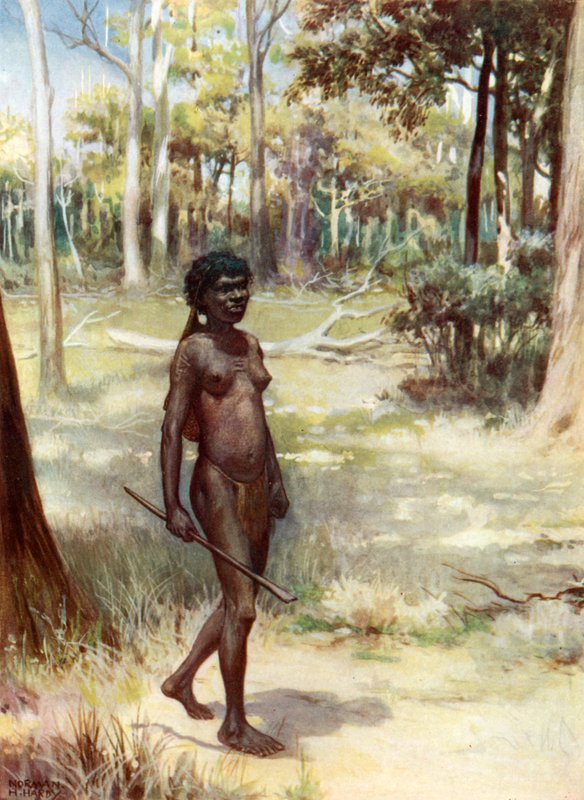 Queenslandi nő: Ausztrália alkotó: Norman Hardy
