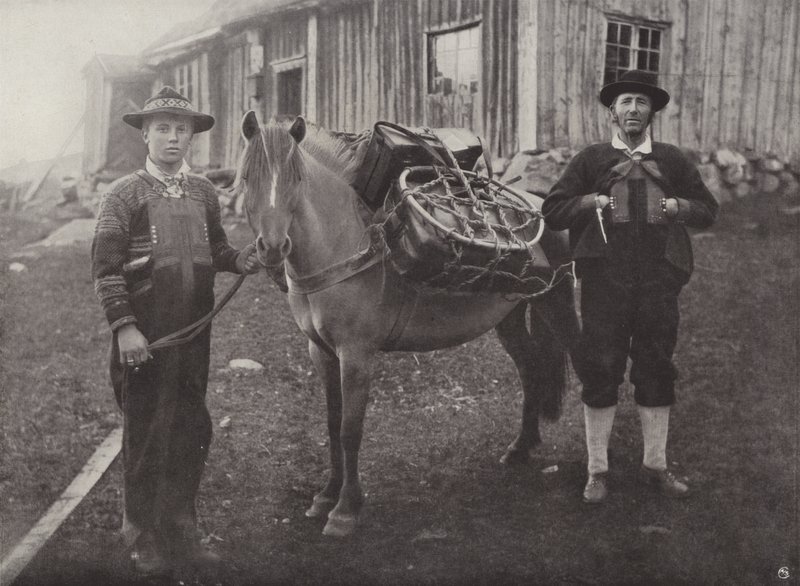 Saetersdalen Highlanders Pack-Horse-val alkotó: Norwegian Photographer