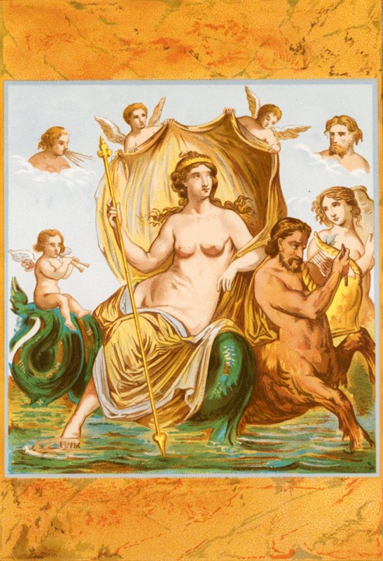 Amphitrite diadala alkotó: P. Sellier
