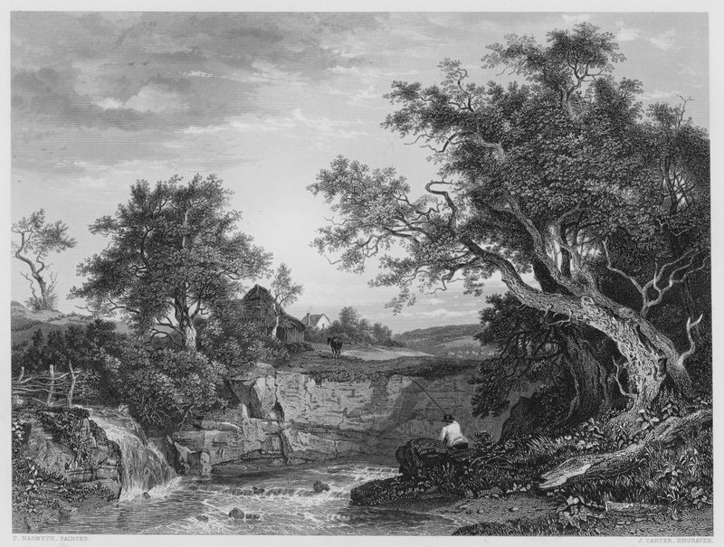 Horgászkuckó, a Vernon Galéria képéről (metszet) alkotó: Patrick Nasmyth