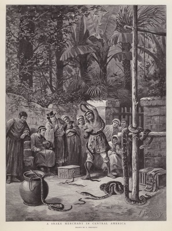 Kígyókereskedő Közép-Amerikában (litho) alkotó: Paul Frenzeny
