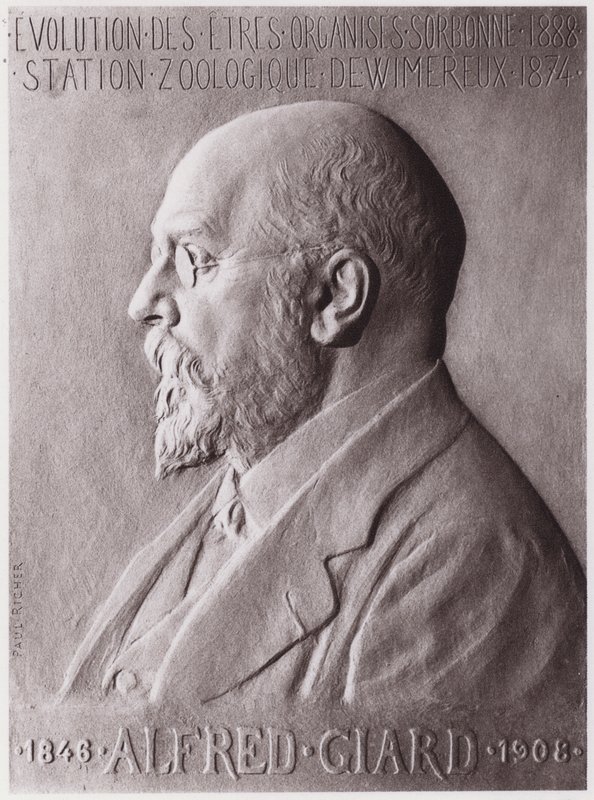 Alfred Giard (1846-1908), zoológus, portré (litho) alkotó: Paul Marie Louis Pierre Richer