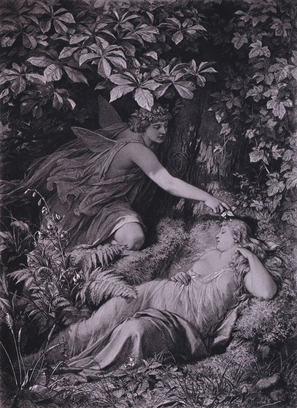 Jelenet Shakespeare Szentivánéji álom című művéből (IV. felvonás, 1. jelenet) (litó) alkotó: Friedrich Paul Thumann