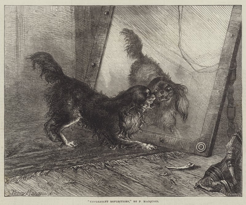 Kellemetlen tükröződések alkotó: Percy Macquoid