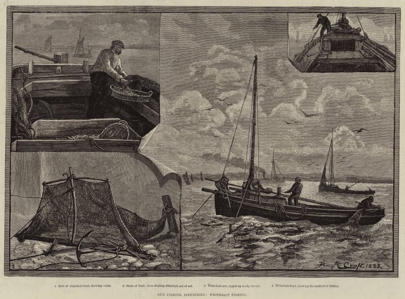 Halászati iparágaink, Whitebait Fishing alkotó: Percy Robert Craft