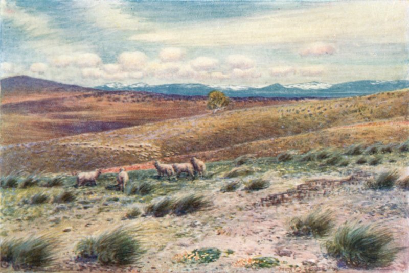 Havas hegyek a szövetségi főváros közelében (színes litó) alkotó: Percy F.S. (after) Spence