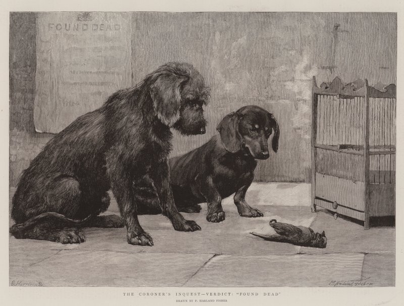 A halottkém vizsgálata, ítélet, holtan találták alkotó: Percy Harland Fisher