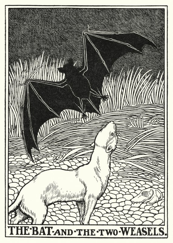 La Fontaine meséi: A denevér és a két menyét (litho) alkotó: Percy James Billinghurst