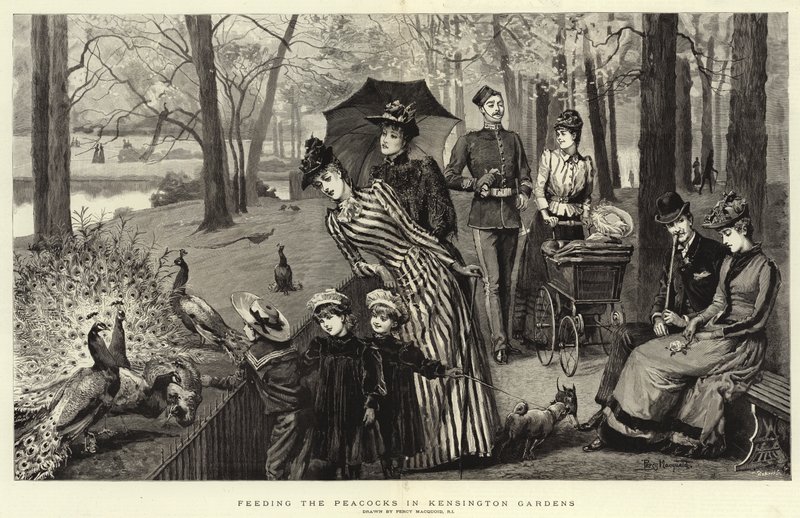 A pávák etetése a Kensington Gardensben (metszet) alkotó: Percy Macquoid