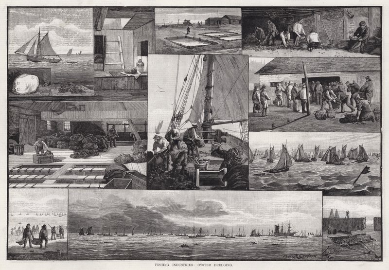 Fishing Industries, osztriga kotrás (gravírozás) alkotó: Percy Robert Craft