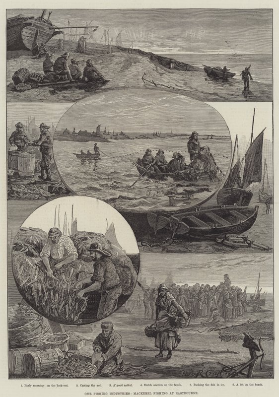 Halászati iparágaink, makrélahalászat Eastbourne-ben (metszet) alkotó: Percy Robert Craft