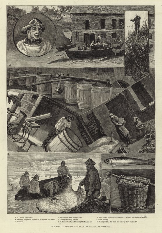Halászati ágazataink: Cornwallban alkotó: Percy Robert Craft