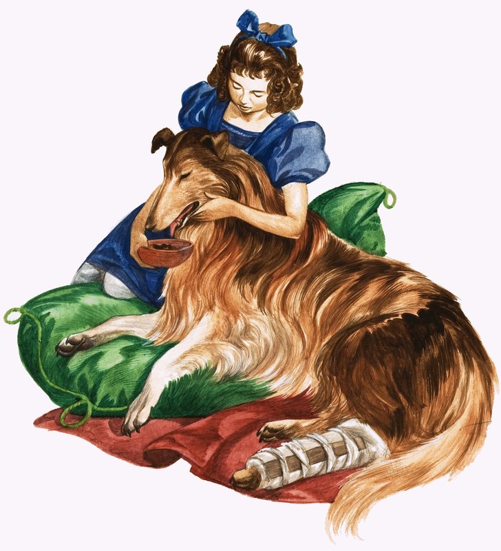 Amikor fiatalok voltak: Florence Nightingale alkotó: Peter Jackson