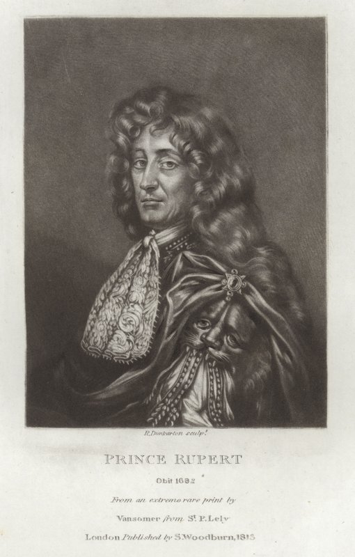 Rupert herceg alkotó: Peter Lely