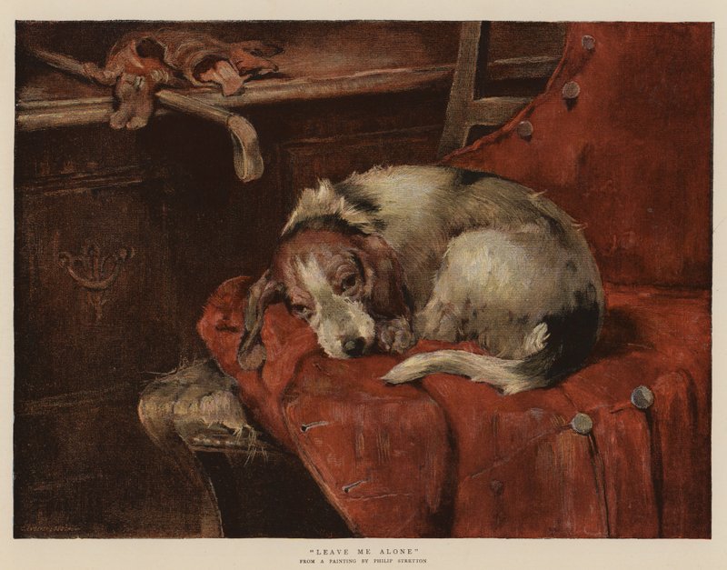 Hagyj békén (chromolitho) alkotó: Philip Eustace Stretton