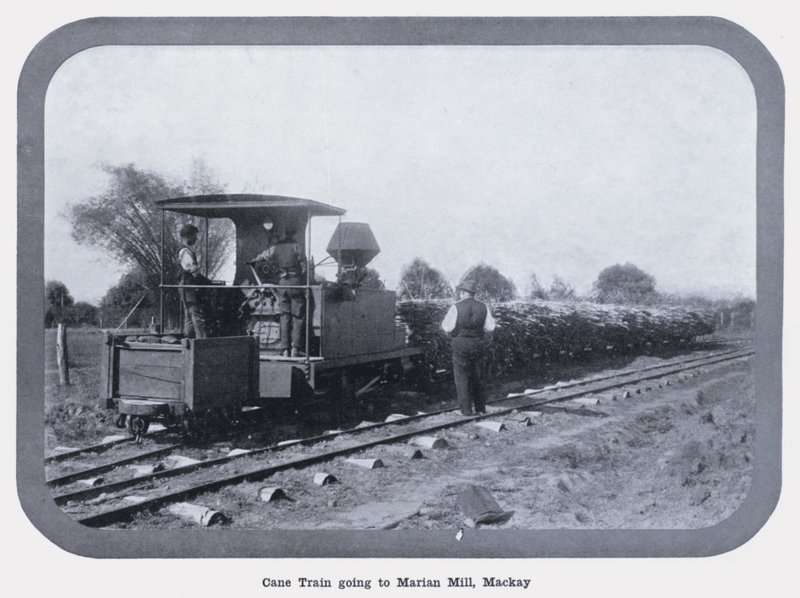 Cane Train megy Marian Millbe, Mackay (f/w fotó) alkotó: Photographer Australian