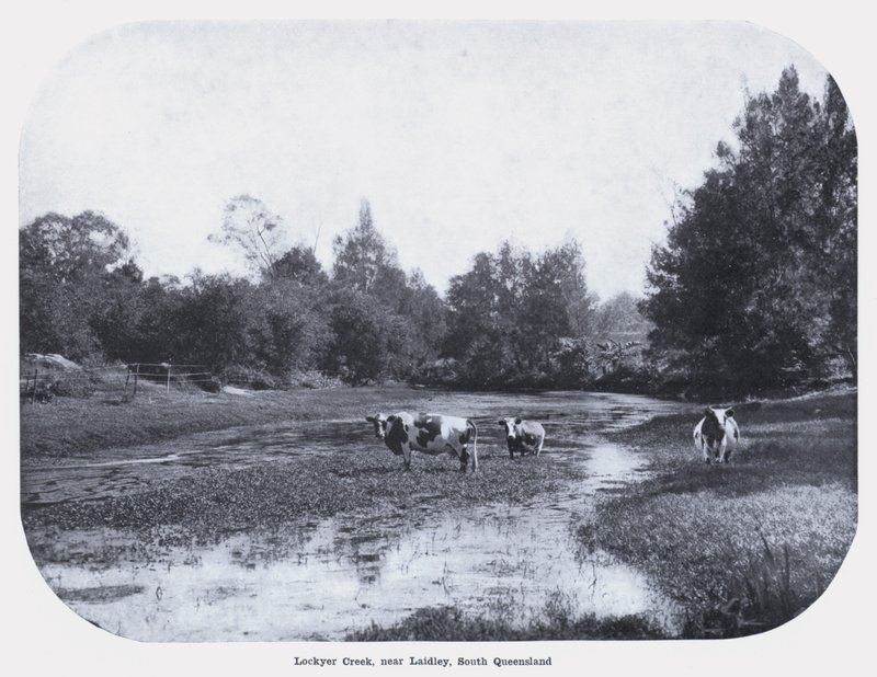 Lockyer Creek, Laidley közelében, South Queensland államban (f/w fotó) alkotó: Photographer Australian