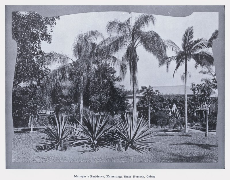 Vezetői rezidencia, Kamerunga State Nursery, Cairns (f/w fotó) alkotó: Photographer Australian