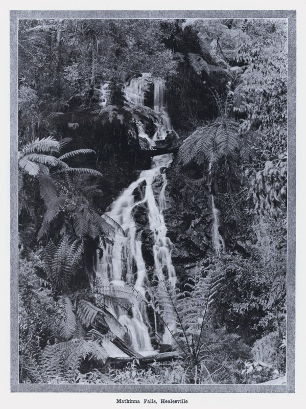 Mathinna Falls, Healesville (f/w fotó) alkotó: Photographer Australian