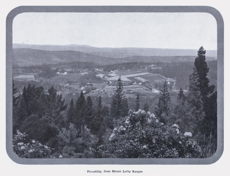 Piccadilly, a Mount Lofty Ranges-ről (f/w fotó) alkotó: Photographer Australian