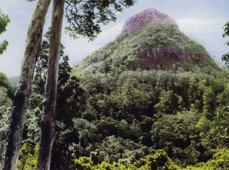 Queensland, Ausztrália: Mt Cordeaux (a képen) alkotó: Photographer Australian