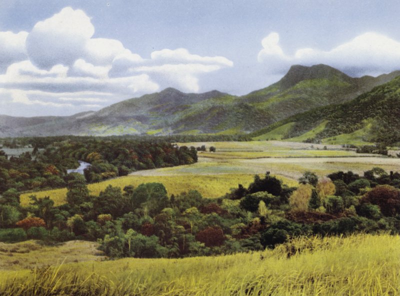 Queensland, Ausztrália: Sugar Lands at Mossman (fotó) alkotó: Photographer Australian