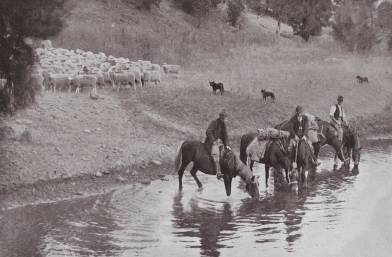 A többi, tipikus ausztrál Stockmen (f/w fotó) alkotó: Photographer Australian