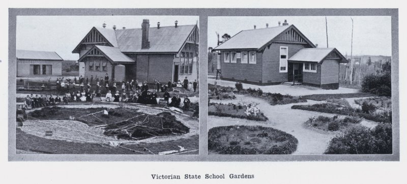 Victorian State School Gardens (f/w fotó) alkotó: Photographer Australian