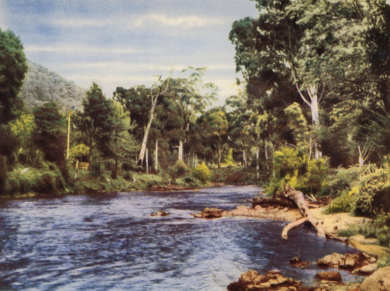 Yarra folyó (színes fotó) alkotó: Photographer Australian