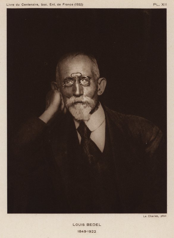 Ernest Marie Louis Bedel, francia entomológus (f/w fotó) alkotó: Photographer French