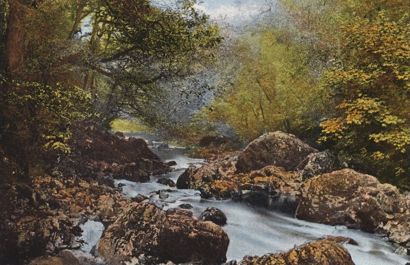 Írország: In The Dargle, Wicklow megye (színes fotó) alkotó: Photographer Irish