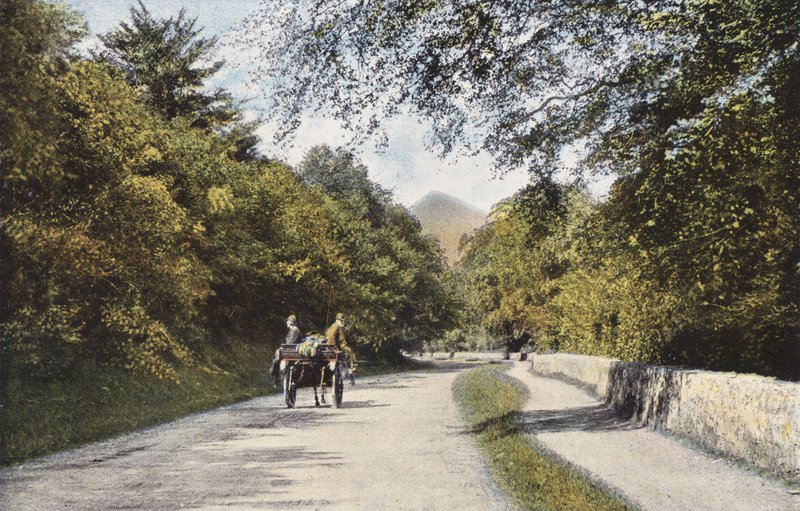 Írország: The Glen of the Downs, Sugar Loaf Mountain, Wicklow megye (színes fotó) alkotó: Photographer Irish