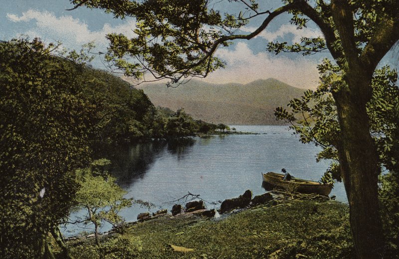 Dél-Írország: Innisfallen, Killarney (színes fotó) alkotó: Photographer Irish