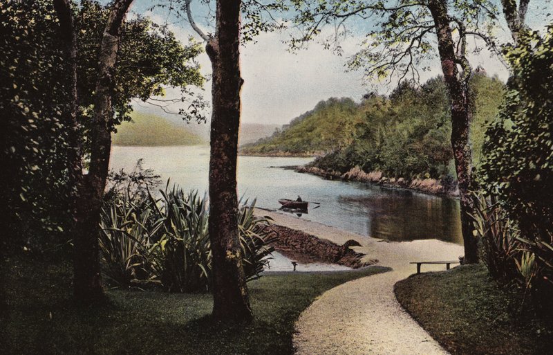 Dél-Írország: Garinish-sziget, Parknasilla, Kerry megye (színes fotó) alkotó: Photographer Irish