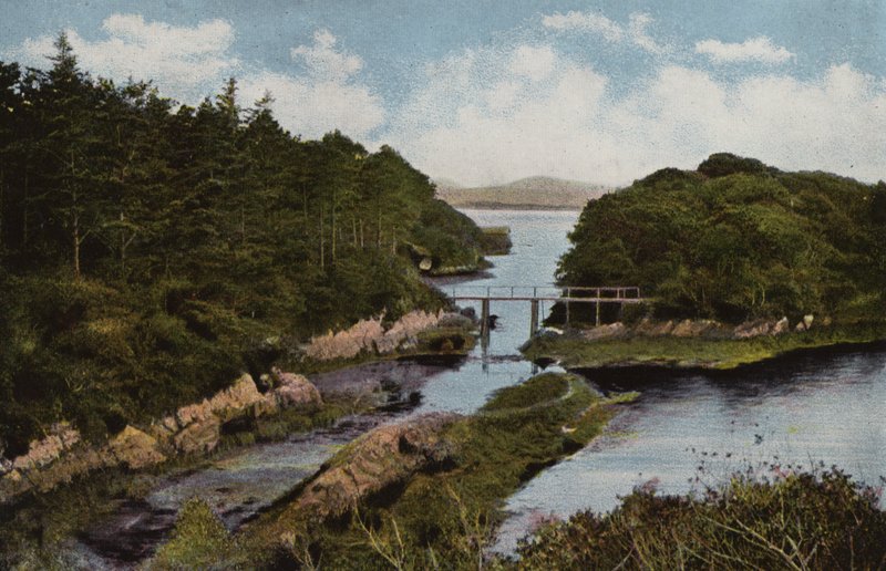 Dél-Írország: Parknasilla, Kerry megye (színes fotó) alkotó: Photographer Irish