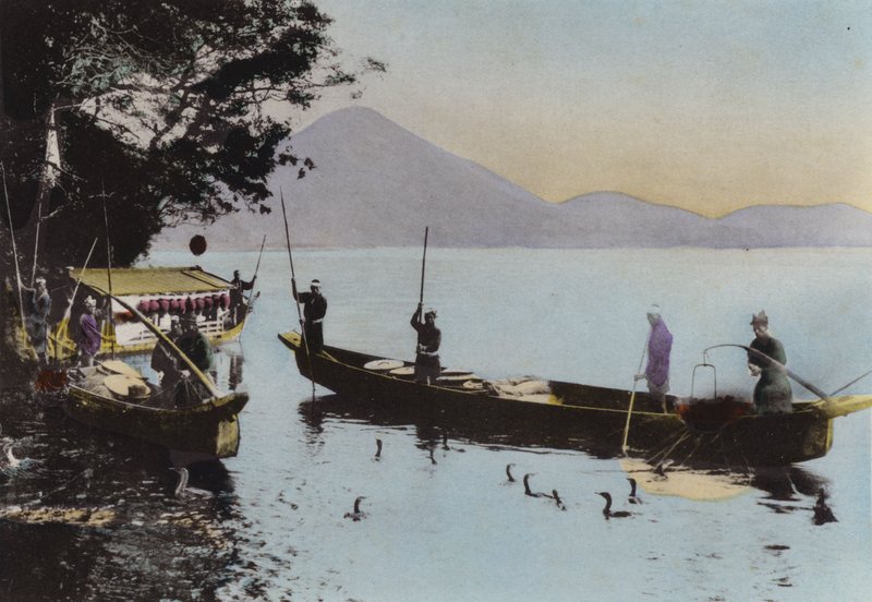Japán, 1912 körül: Horgászat kormoránnal, Nagaragawa (fotó) alkotó: Photographer Japanese