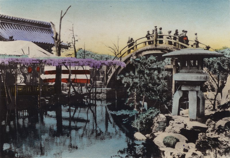 Japán, 1912 körül: A Kameido-templom földjén a Wisteria májusban virágzott, a Dobhíd pedig a völgyben (fotó) alkotó: Photographer Japanese