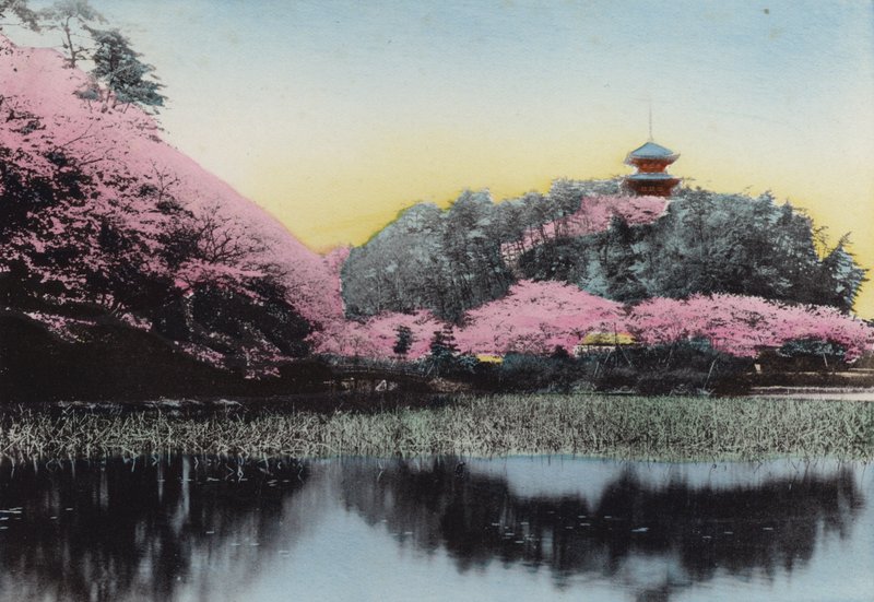 Japan, c.1912: Sankeiyen, Mr Hara