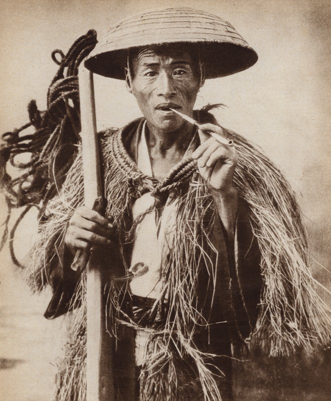 Japán kuli (mezőgazdasági munkás) kalapot visel, hogy megvédje őt a heves esőtől a rizsföldeken (f/w fotó) alkotó: Photographer Japanese