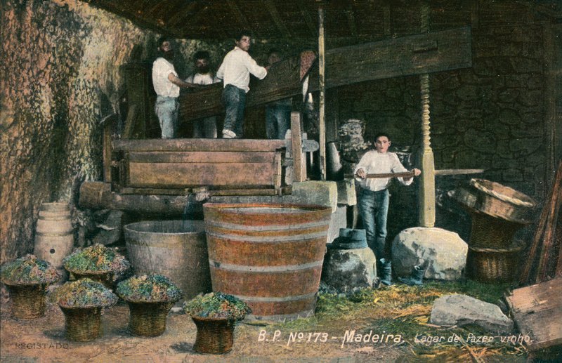 Borsajtó, Madeira, Portugália (fekete-fehér fotó) alkotó: Photographer Portuguese